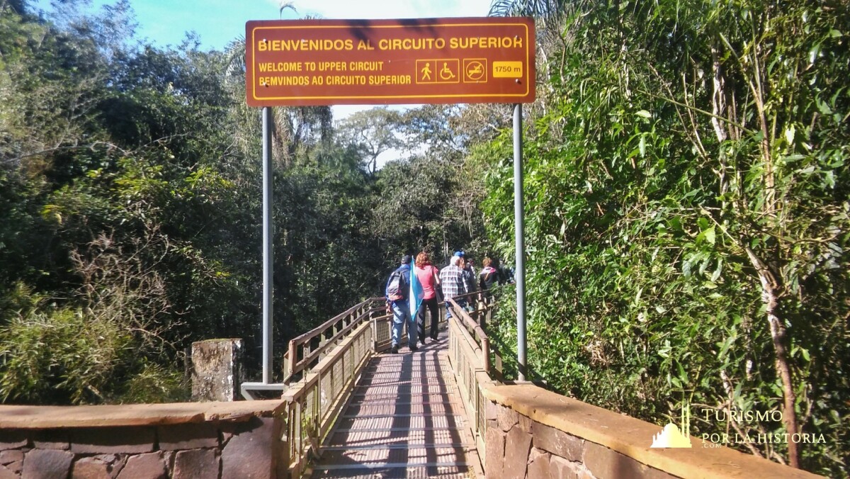 Ingreso a las pasarelas del circuito superior entre arboles de la selva de las cataratas del Iguazú argentina