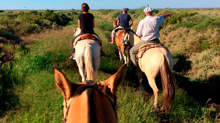 caballos caminando por los campos alrededor de la laguna marchiquita en el nuevo parque nacional Ansenuza